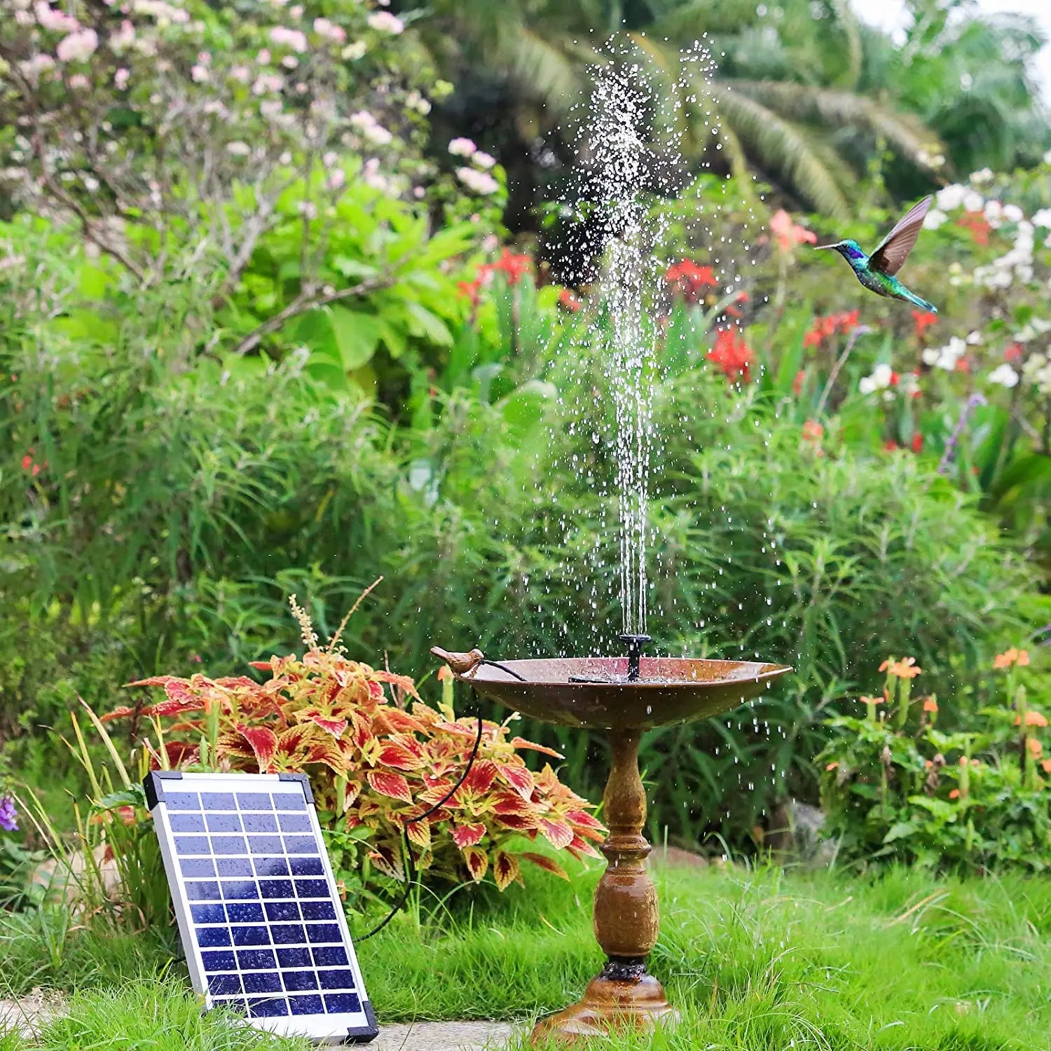 2.5W Solar Powered Oxygenation Pump